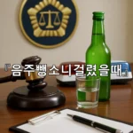 legal image 음주뺑소니걸렸을때 10788