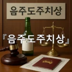 legal image 음주도주치상 11368